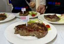 Exportaciones de carne argentina: “Es importante ver cómo cada día se abren más posibilidades”