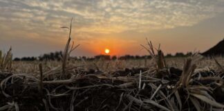 Capacidad de agua disponible: un dato clave que se suma a las cartas de suelo en Córdoba
