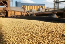 La agroexportación liquidó 11% menos en lo va del año