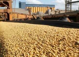 La agroexportación liquidó 11% menos en lo va del año