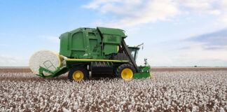 Relevamiento de cultivos en el norte y centro de SF: concluyeron las cosechas de maíz primario y de sorgo