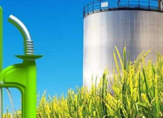 Carbio respalda el proyecto oficialista que sube el corte de los bios en las naftas y gasoil