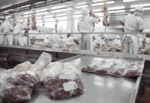¿Arrancó el camino hacia los 4 millones de toneladas de producción de carne vacuna?
