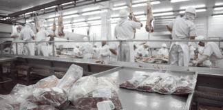 ¿Arrancó el camino hacia los 4 millones de toneladas de producción de carne vacuna?