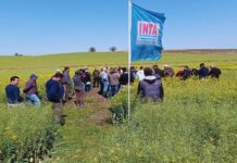 La Provincia pidió el traspaso de tierras del INTA para destinarlas a investigación