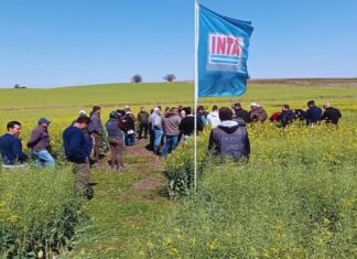 La Provincia pidió el traspaso de tierras del INTA para destinarlas a investigación