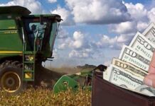 La BCR proyecta que las agroexportaciones 2026 aportarán más de 36.000 mill/dol