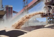 Brasil le ganó a la Argentina el 1er puesto como exportador mundial de harina de soja