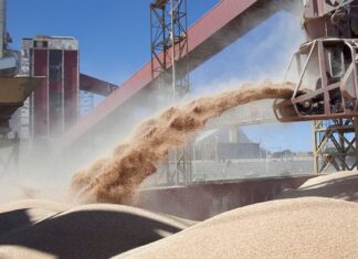 Brasil le ganó a la Argentina el 1er puesto como exportador mundial de harina de soja