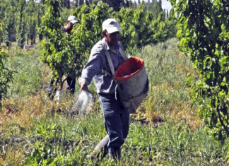 El Renatre aumentó la prestación por desempleo otro 2%