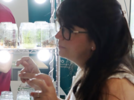 Congreso Internacional de Biotecnología Córdoba