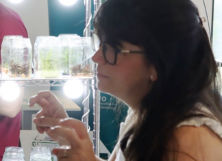 Congreso Internacional de Biotecnología Córdoba