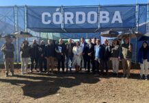 Córdoba llega a Agroactiva con innovación, tecnología y producción