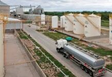 Biocombustibles: Carbio respaldó el proyecto oficial y pidió avanzar hacia un mercado más competitivo
