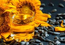Oficial: las exportaciones del complejo del girasol crecieron 160%