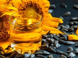 Oficial: las exportaciones del complejo del girasol crecieron 160%