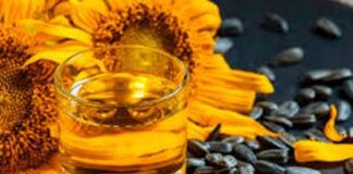 Oficial: las exportaciones del complejo del girasol crecieron 160%