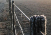 Se esperan heladas sobre el oeste del área agrícola