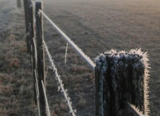Se esperan heladas sobre el oeste del área agrícola