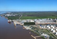 Argentina es el 3er exportador de commodities agrícolas del mundo