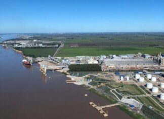 Argentina es el 3er exportador de commodities agrícolas del mundo