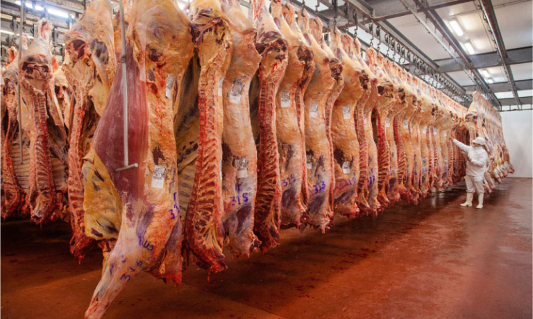 China: Las importaciones de carne aumentaron más del 17% en el primer semestre de 2026