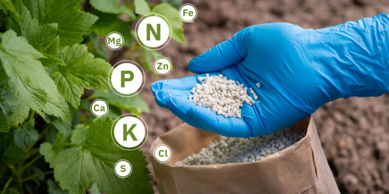 La suba de los fertilizantes generó un sobrecosto importador de USD 180 millones en el primer semestre de 2026