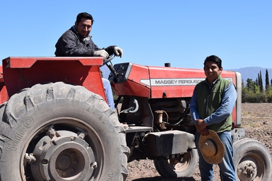 El agro fue la única gran actividad que aumentó el empleo formal desde 2023