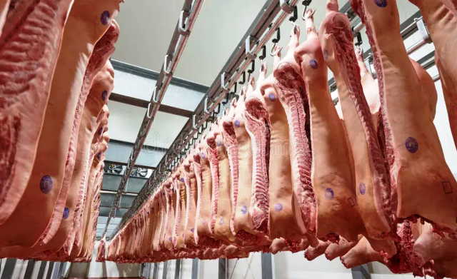 Carne porcina: crecen la producción y el consumo