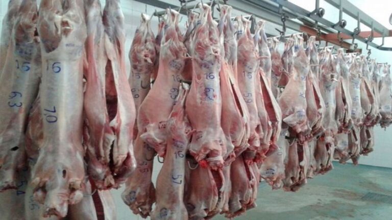 Destacan el fuerte crecimiento en las exportaciones de carne caprina