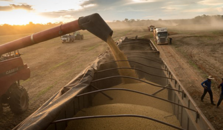 Récord absoluto: las cosechas llevaron a la actividad de la cadena agropecuaria a un nuevo máximo histórico