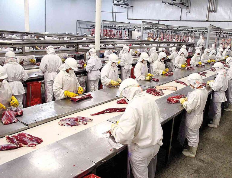 Se retrajeron las exportaciones de carne vacuna de Mercosur