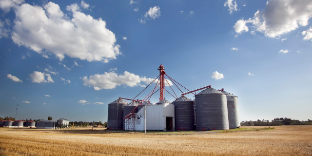 La liquidación de divisas del agro alcanzó 3.228 mill/dol en septiembre