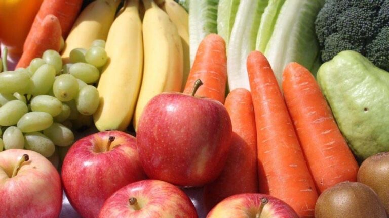 El huerto y los frutales son nobles pero reclaman políticas de aliento