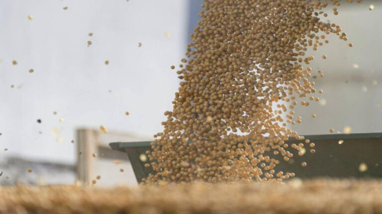 Acuerdo Mercosur-Unión Europea: Una gran oportunidad para el agro, con letra chica
